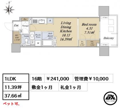 グランドシティタワー月島 241,000円