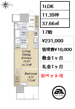 グランドシティタワー月島 23.1万円