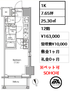 ザ・パークハビオ飯田橋プレイス 16.3万円