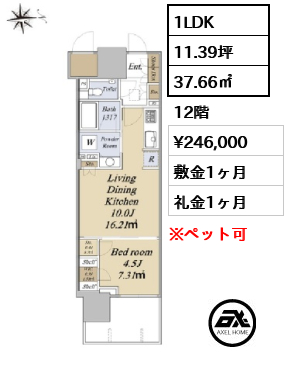 グランドシティタワー月島 24.6万円