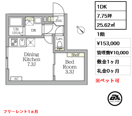 アグライア新宿横寺町（Aglaia新宿横寺町）