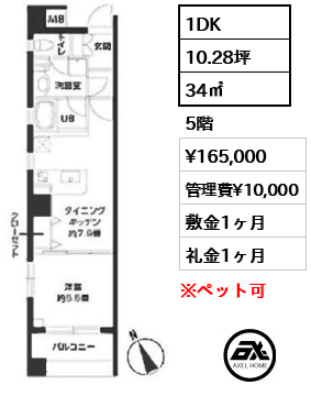 カスタリア新富町Ⅳ 16.5万円