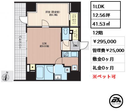 フィシオ飯田橋 295,000円