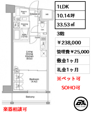 ザ・パークハビオSOHO代々木公園 238,000円
