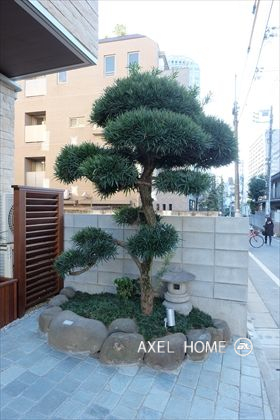 モデクセル神宮前