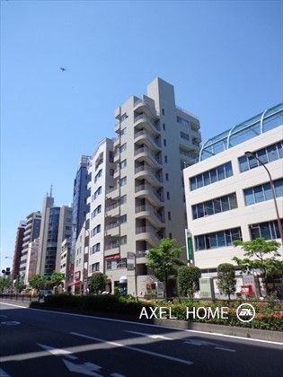 グレースレイ岸