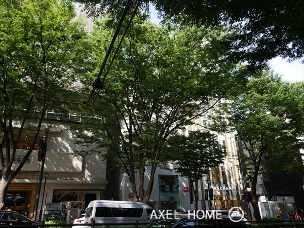 表参道４３０ビル（店舗）