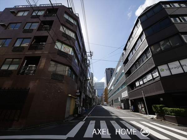 ライオンズマンション平河町Ｗ