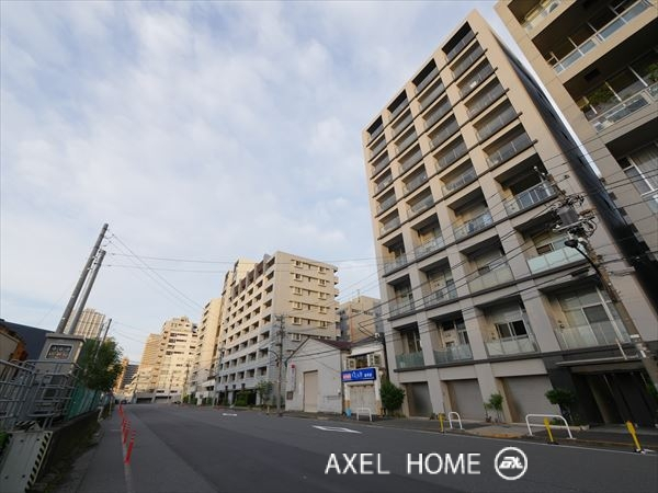KAMOME （カモメ）