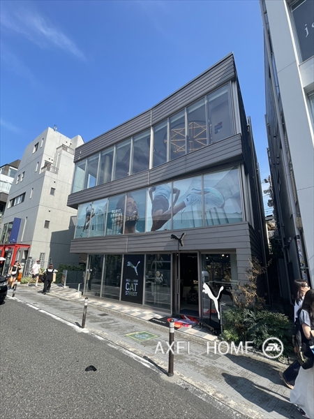 原宿250