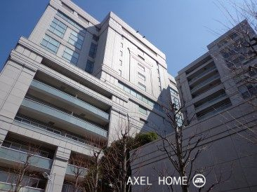 パラシオ青山