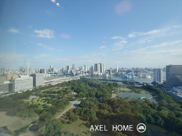 東京ツインパークス （ライト・レフトウイング）