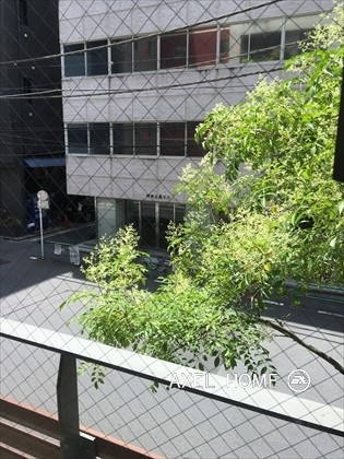 桜ハウス