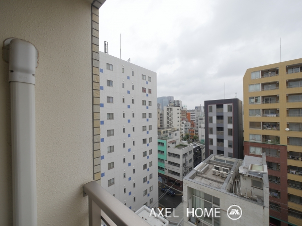 カスタリア新富町Ⅲ