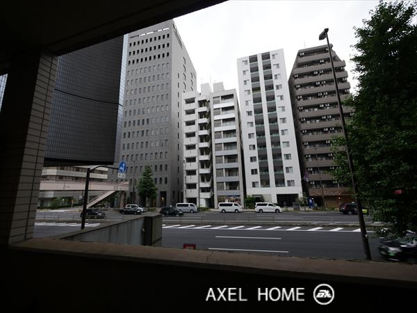 トーシンフェニックス芝アストラーレ