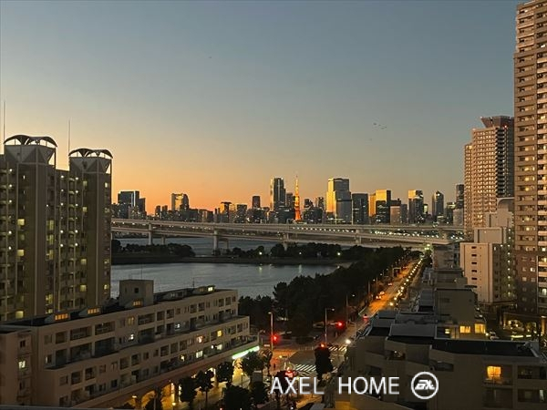 ザ・タワーズ台場（THE TOWERS DAIBA）