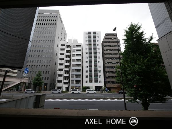 トーシンフェニックス芝アストラーレ
