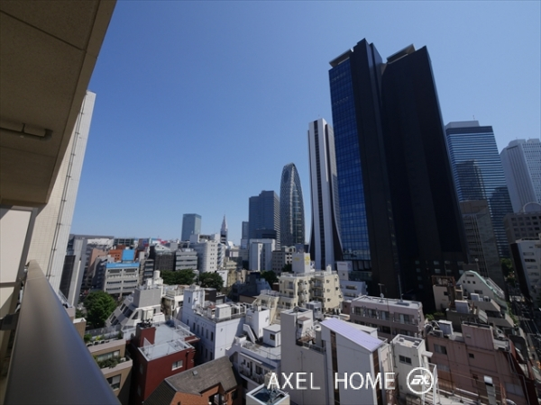 ブランズ西新宿