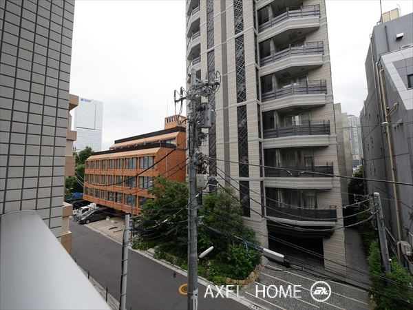 BAUHINIA　AKASAKA（バウヒニア アカサカ）