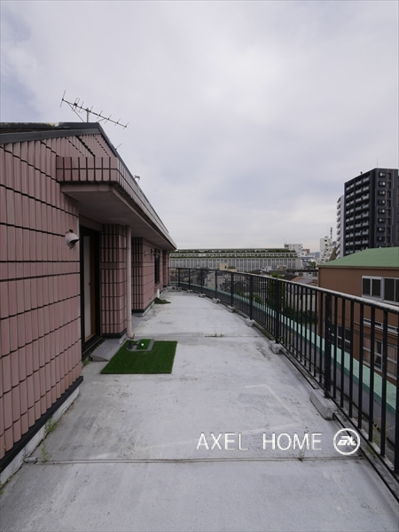 白山ミノール