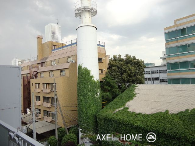 シャインエイト