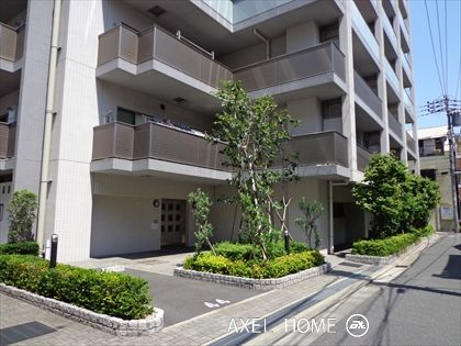 小石川アインス