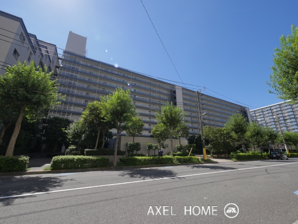 豊洲ハイライズ