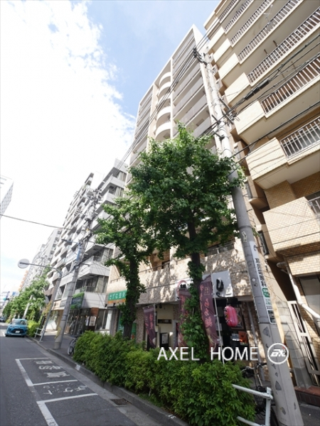 ライオンズマンション山吹町