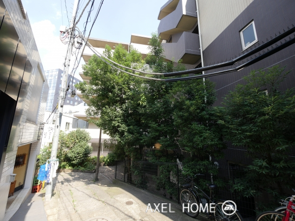 レナトゥス四谷