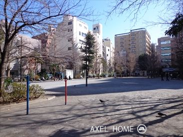フォルトゥナ日本橋