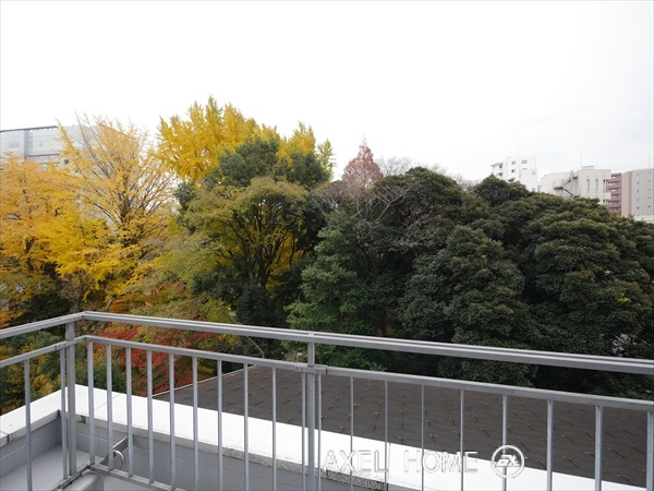 スカラグリジア
