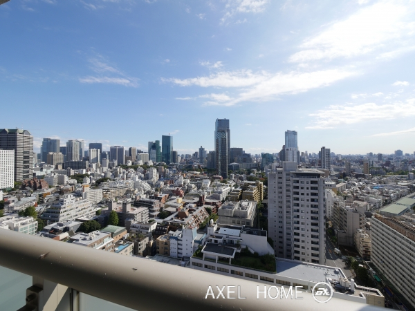 青山第一マンションズ
