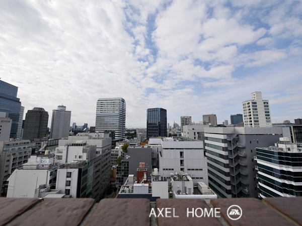 LaSante麹町 (ラサンテ麹町)