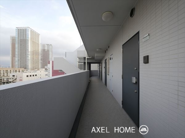KAMOME （カモメ）