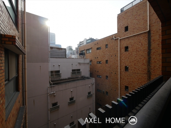 ライオンズマンション平河町
