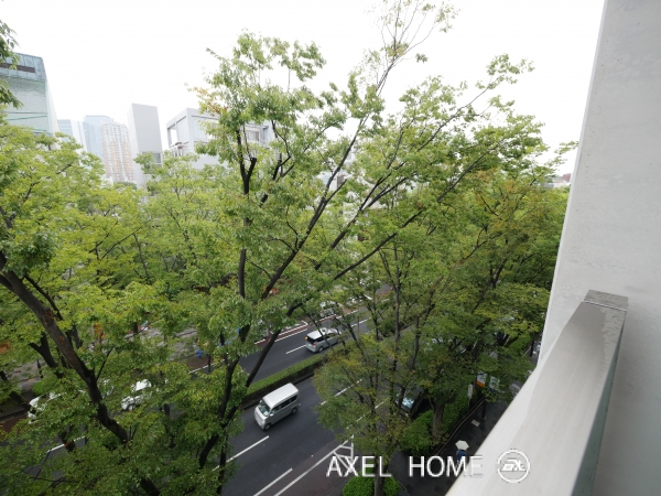 表参道ヒルズゼルコバテラス　（WEST EAST）