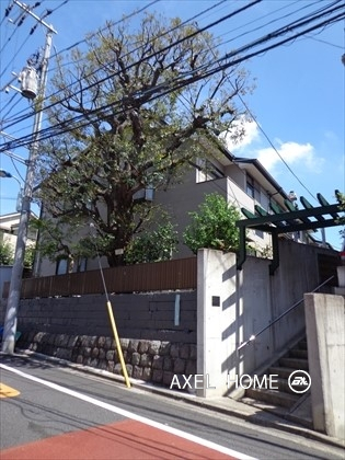 たかのは