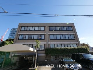 ヒルズ葵