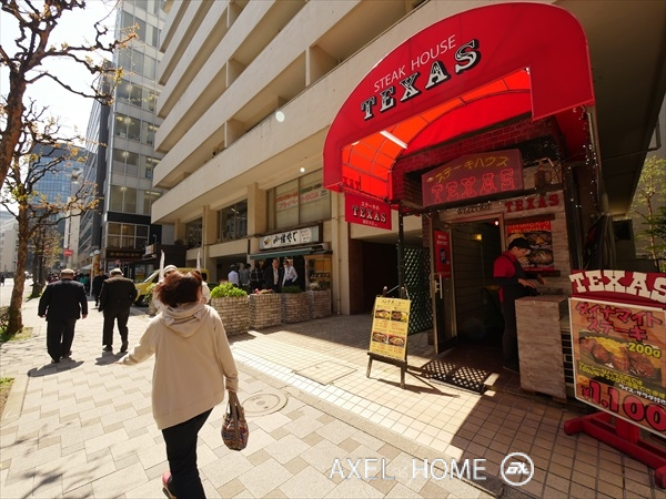 麹町パレス
