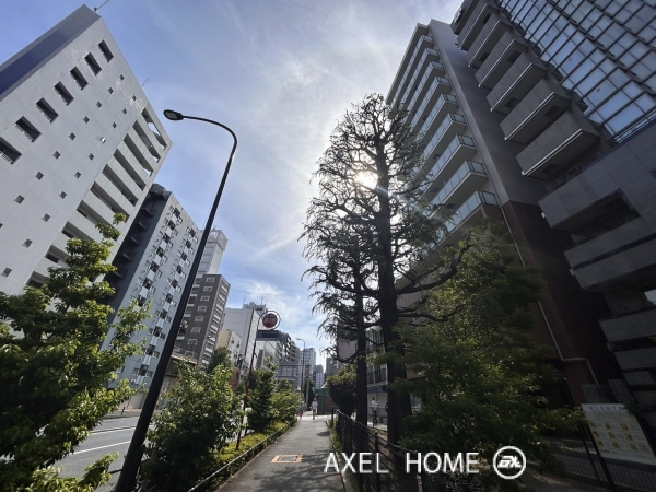 イマーレ富久町