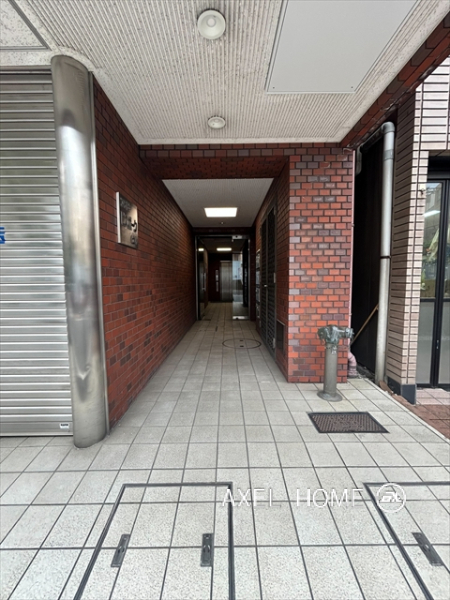 アオキビスポークビル