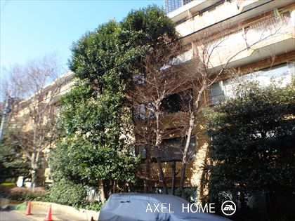 仙石山アネックス