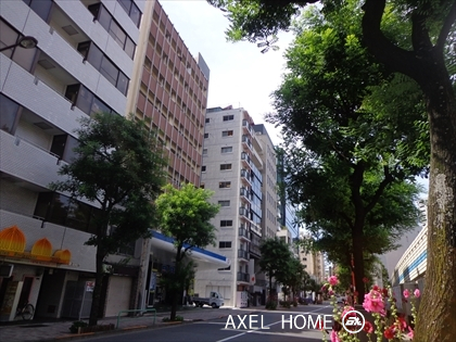 ハイツニュー平河