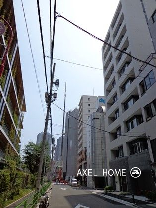 アデニウム東京八丁堀
