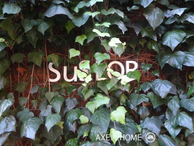 SuSLOB北参道（サスロブ北参道）（事務所）