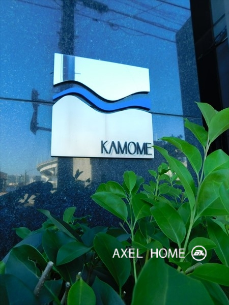 KAMOME （カモメ）