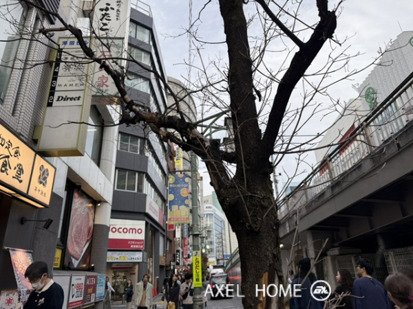澤田第2ビル（事務所・店舗）