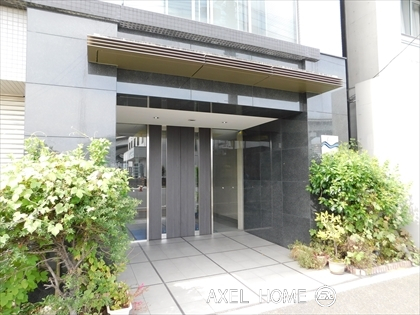 KAMOME （カモメ）