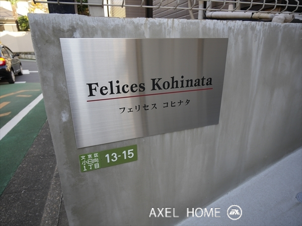 フェリセス　コヒナタ