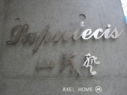 ラプンテシスヤマモト （Lapntecis）